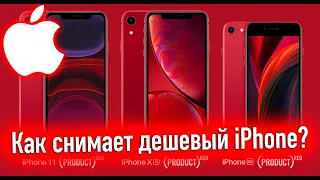 КАК СНИМАЕТ ДЕШЕВЫЙ IPHONE? МАГИЯ APPLE В ДЕЙСТВИИ?! - ALEXEY BORONENKOV | 4K