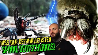 Edmon reagiert auf: Was passiert wenn Dich die größte Spinne Deutschlands beißt? | Stream Highlights