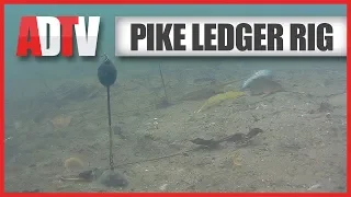 AD QuickBite - How To Tie A Deadbait Ledger Rig For Pike