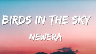 Birds In The Sky - NewEra (Lyrícs)