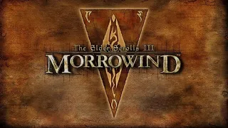 Полная русификация TES III Morrowind из Steam