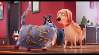 The Secret life of Pets - Chloe funny video