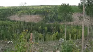 Ingemars -Vår gamle grend (Finnskogen)