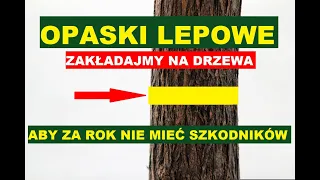 WRZESIEŃ - OPASKI LEPOWE - SUPER SPOSÓB NA SZKODNIKI