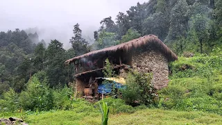 Best Life in The Nepali Mountain Village During the Rainy Season | Living With Beautiful Nature |