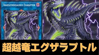 NEW LINK DINO !! Transcendosaurus Exaraptor DECK NEW CARD - YGOPRO