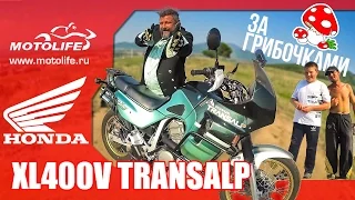 Honda TRANSALP XL400V