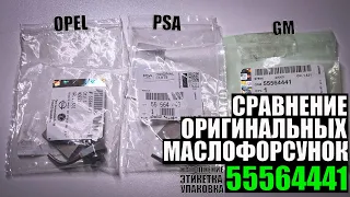 Сравнение поставок оригинальных масляных форсунок GM, PSA, Opel (55564441)