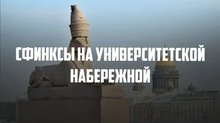 Сфинксы на Университетской набережной: мистические места Петербурга