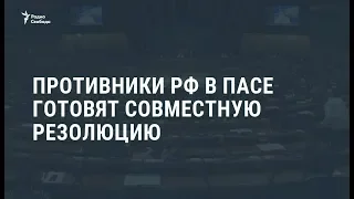 Противники РФ в ПАСЕ готовят совместную резолюцию / Видеоновости