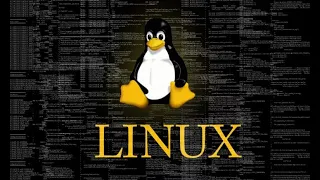 Команды в терминале Linux для работы с файлами и директориями.
