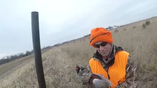 Pheasant Hunting Frenzy Illinois | RKWild S1E2