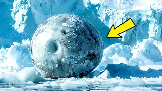 Have Aliens Lost Something? A Weird Object Spotted in Antarctica