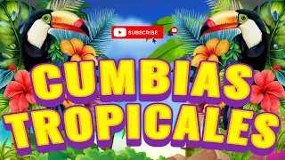 TROPICALES MIX PARA BAILAR🌴CUMBIAS TROPICALES MIX 2024✨TROPICAL FLORIDA, ACAPULCO TROPICAL