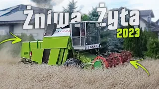 Żniwa żyta 2023 |Ursus C-360|Claas mercator 70