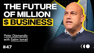 The Successful Entrepreneur Formula w/ Salim Ismail | EP #47 Moonshots and Mindsets