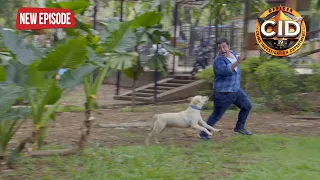 CID Pankaj कैसे बचाएंगे इस कुत्ते से अपनी जान || CID | TV Serial Latest Episode