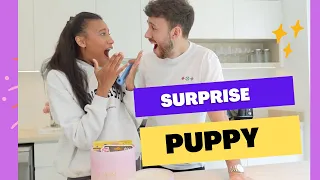 Surprising Her With Her Dream PUPPY!  *Best reaction*