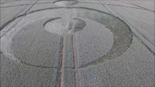 Crop Circle Field in Saint Hippolyte in France From June 13th 2019