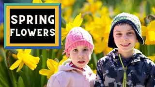 Spring Flowers For Kids - Spring is Here!
