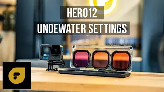 Best Underwater GoPro Settings - Hero12