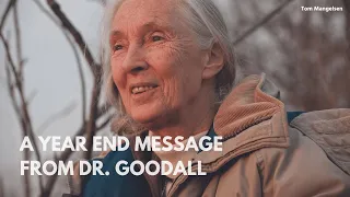 A Year End Message From Dr. Goodall