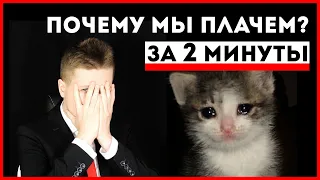 ПОЧЕМУ МЫ ПЛАЧЕМ? УЗНАЙ ЗА 2 МИНУТЫ! / FACTOFF