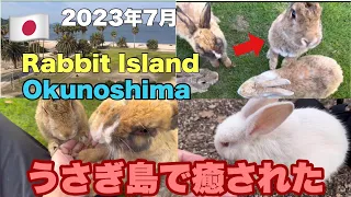 🇯🇵【うさぎ島】大久野島でうさぎに癒されました　休暇村宿泊記　Kyukamura　#うさぎ島 #Okunoshima #rabbitisland #japantravel