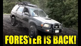 Subaru Forester Off Road - The Forester is Back!
