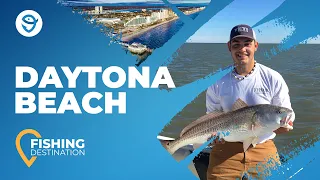 Daytona Beach Fishing: All You Need to Know | FishingBooker