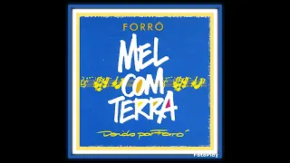 LP- FORRO MEL COM TERRA VOL 1 . 1993 . RARIDADE. TAMBÉM FAZ PARTE  DA MINHA COLEÇÃO.