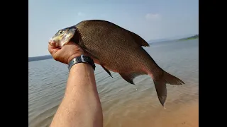 ЛЕЩ НА ФИДЕР !!! НА РЫБАЛКУ С СЫНОМ !!! НЕПЛОХИХ ЛЕЩЕЙ ПОЛОВИЛИ !!! БРАТСКОЕ ВОДОХРАНИЛИЩЕ.