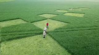 Escher in het graan | Het Friesland dat is geïnspireerd door een oude zee