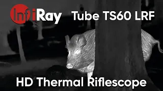 See every detail - Infiray Tube TS60 LRF High Definition Thermal Riflescope