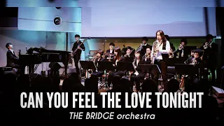 [orchestra] Can you feel the love tonight (The Lion King OST)