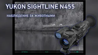 Yukon Sightline N455 - Наблюдение за животными