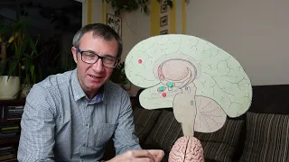 Depresja okiem neurobiologii