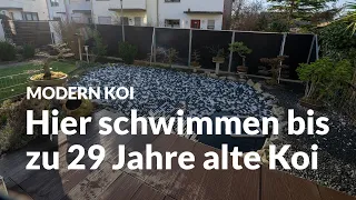 Jürgens sehr alter und mit PE-Bällen abgedeckter 22.000 Liter Koiteich | Modern Koi Blog #6521