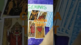 GÉMINIS LECTURA EXPRESS LUNES 20 SEPTIEMBRE 3021✨💖🔮🍀