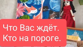 📌Что ждет в течении 2-х месяцев📌Кто на пороге🤔#тародлямужчин#таро#таролог#тарорасклад#тародлявсех