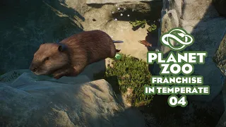 Planet Zoo S5 E04 - Бобрики