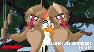 La Garde du Roi Lion - Du lundi au vendredi à 16h30 sur Disney Junior !