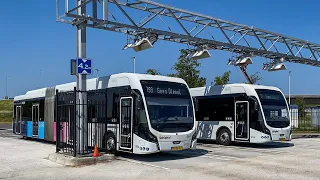 Modern Buses in Netherlands 🇳🇱 | 2023