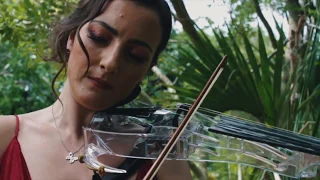 Song from a Secret Garden (Electric Violin and Harp cover) - Musa