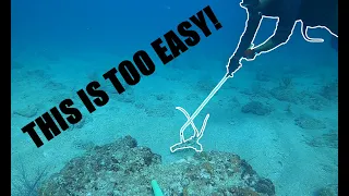 How to catch Lobster in Florida! | THE FASTEST AND EASIEST WAY