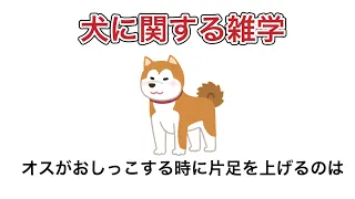 【動物雑学】犬に関する雑学