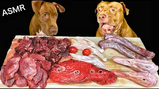 ASMR MUKBANG PITBULL EATING RAW FOODS HORSE LUNGS DUCK HEAD