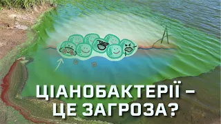 Бактерія, яка зробила можливим життя на Землі [MinuteEarth]