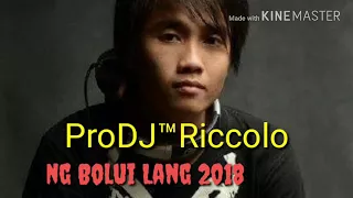 ProDJ™Riccolo Demo version "hokkian remix Wo men bu yi yang 2018" cover AndyPG