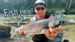Peak Season Russian River Alaska Fishing Sockeye Salmon 2022 Combat Fishing Day